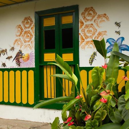 The Plantation House Travellers Hostel Salento Dış mekan fotoğraf