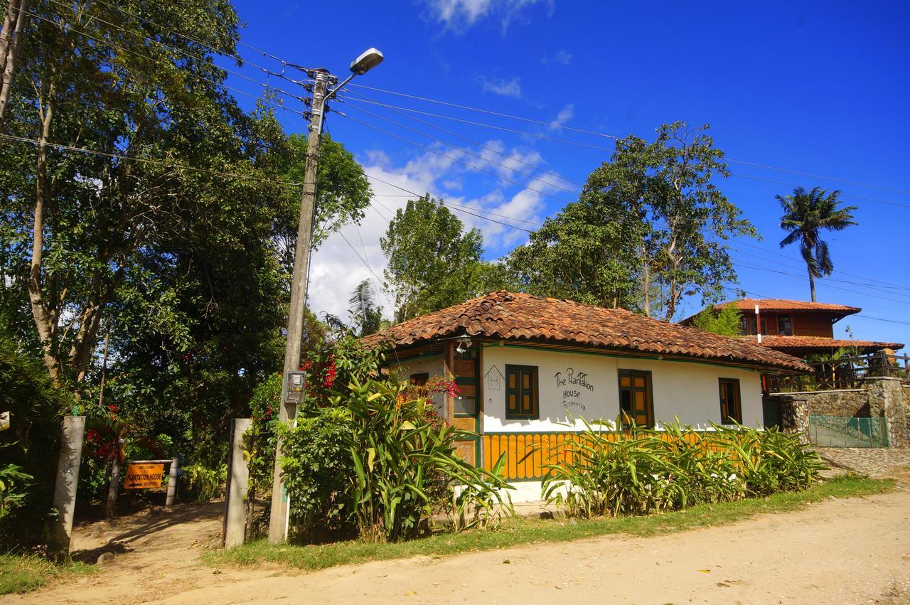 The Plantation House Travellers Hostel Salento Dış mekan fotoğraf