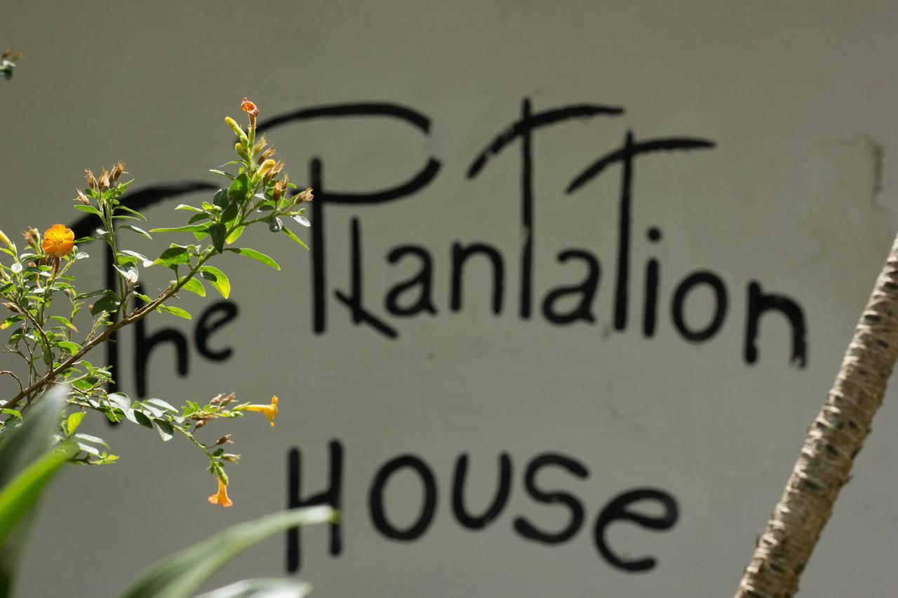 The Plantation House Travellers Hostel Salento Dış mekan fotoğraf